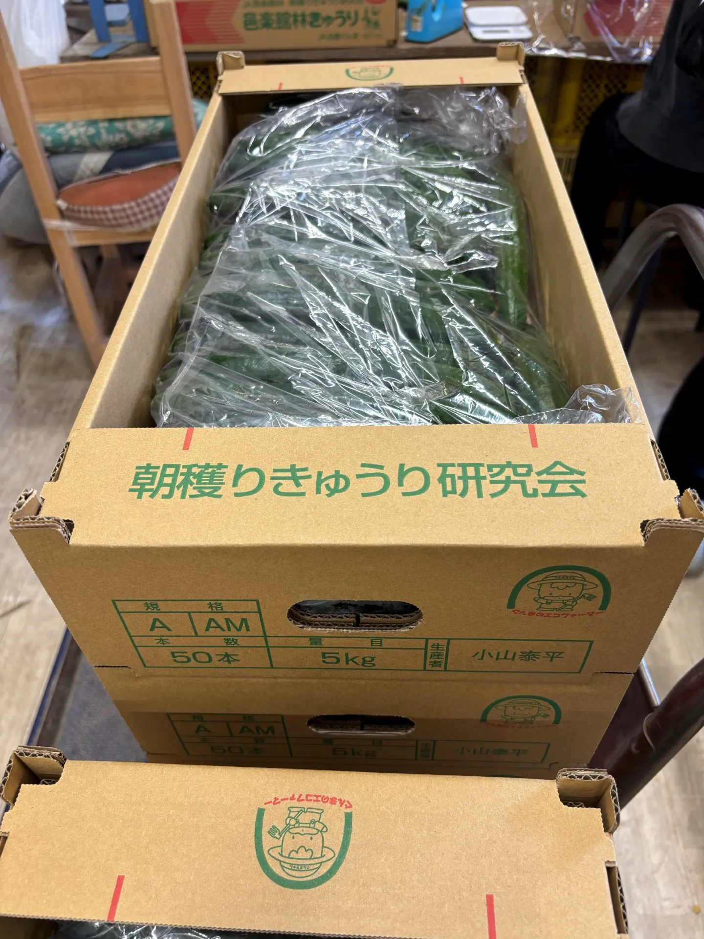 きゅうり